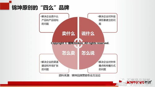 科技行業(yè)第一品牌的頂層設(shè)計(jì)與底層運(yùn)營 互聯(lián)網(wǎng)銷售的制勝之道
