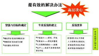 浪莎紅 數(shù)字化時(shí)代的內(nèi)裝品牌互聯(lián)網(wǎng)營銷戰(zhàn)略策劃方案